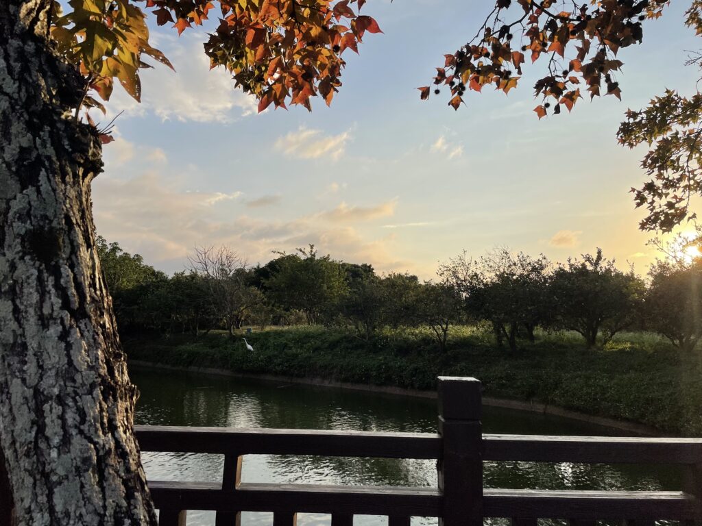 IMG_1374-1024x768 【新竹不無聊】台灣百合工作室:隱身山城的獨立書店與生活美學空間